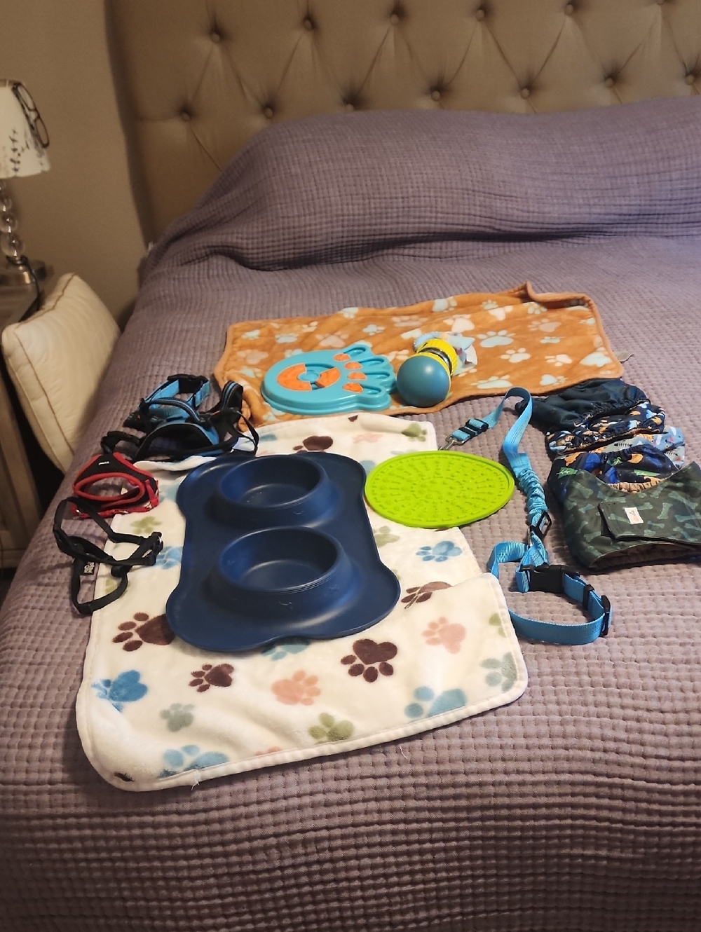 Dog Starter Kit -Various Items